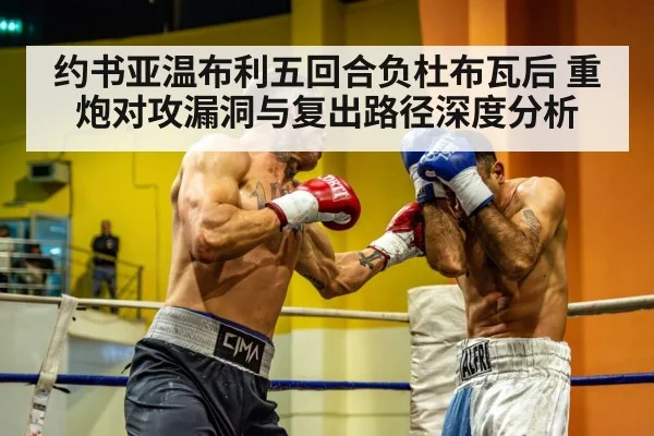 约书亚温布利五回合负杜布瓦后 重炮对攻漏洞与复出路径深度分析